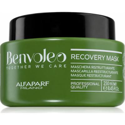Alfaparf Milano Benvoleo Recovery intensywnie regenerująca maska do włosów zniszczonych 250 ml
