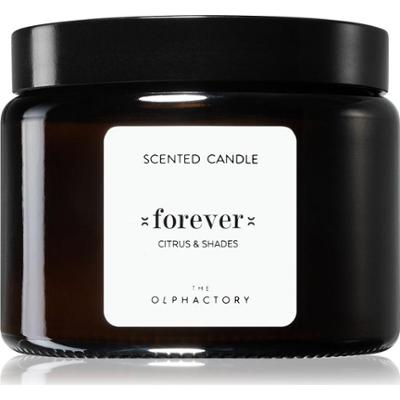 Ambientair Świeca zapachowa Olphactory Citrus & Shades Forever 360 g