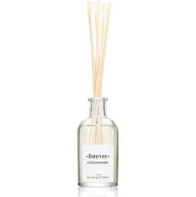 Ambientair Dyfuzor zapachowy Olphactory Citrus & Shades Forever 100 ml