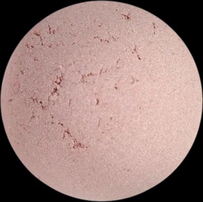 Angel minerals Rozświetlający puder do powiek Silverrose (1g)