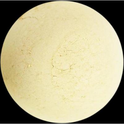 Angel minerals Podkład mineralny wegański uzupełniający Y1 Satin Light (5g)