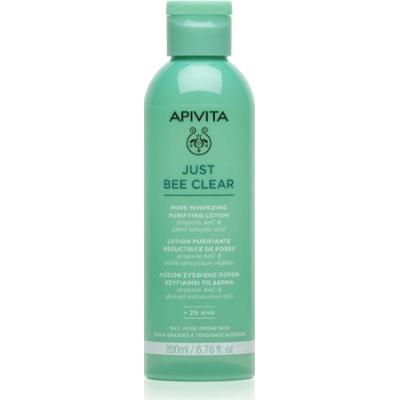 Apivita Just Bee Treatment balsam na rozszerzone pory i zaskórniki 200x1 ml