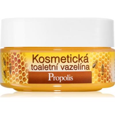 Bione Cosmetics Miód + Wazelina kosmetyczna Q10 155 ml
