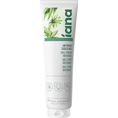 Iana Joints Intensywny żel na zimno 100ml