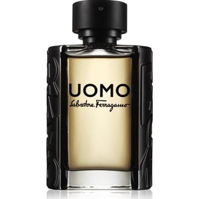 Salvatore Ferragamo Men EDT M 100 ml