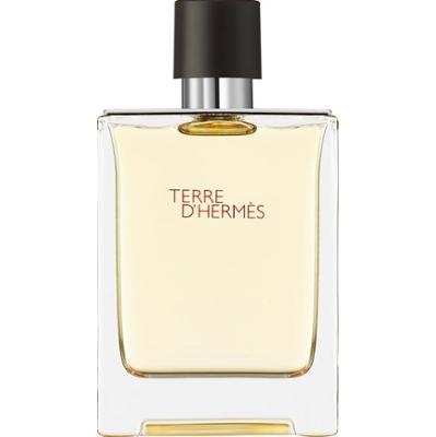 Hermes terre D'Hermes EDT M 100 ml