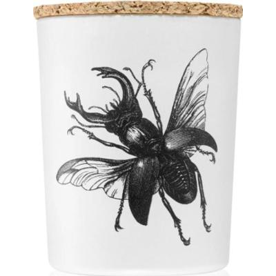 Vila Hermanos Świeca zapachowa Insect Lucanus Cervus 75 g