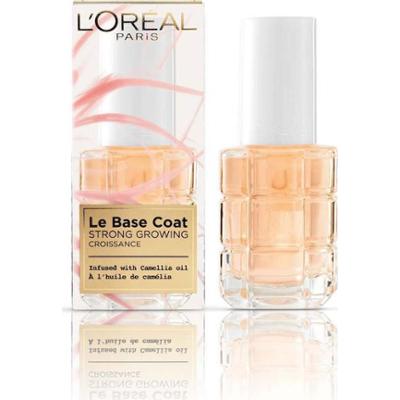 L'Oreal Paris Le Base Coat Camellia Oil Olejek do paznokci 13ml