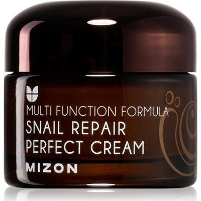 Mizon Wielofunkcyjna formuła kremu do twarzy ze śluzem ślimaka z 60% filtrowanego śluzu ślimaka 50 ml