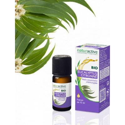 Naturalny organiczny olejek eteryczny z eukaliptusa cytrynowego 10 ml