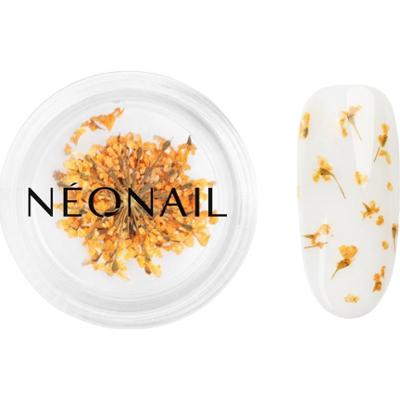 NEONAIL Suszone kwiaty suszony kwiat na paznokcie kolor pomarańczowy
