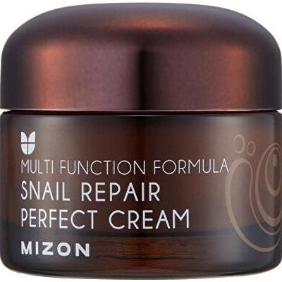 Mizon Krem do twarzy z 60% filtrowaną wydzieliną ślimaka do skóry problematycznej (Snail Repair Perfect Cream) 50 ml