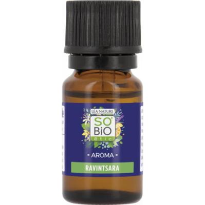 Natura Lea so bio étic AROMA - Olejek eteryczny organiczny, ravintsara (10 ml)