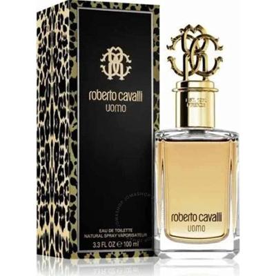 Roberto Cavalli Men EDT M 100 ml