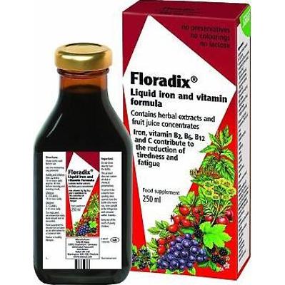 Salus Floradix Żelazo + Rośliny 250ml