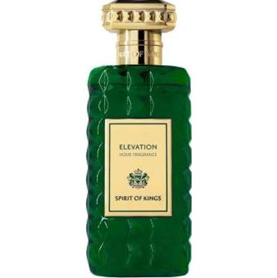 Spirit of kings Elevation Spray zapach do domu 250 ml
