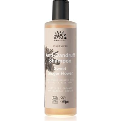 Urtekram Szampon przeciwłupieżowy nawilżający Sweet Ginger Flower z aloesem i ekstraktami z imbiru 250 ml