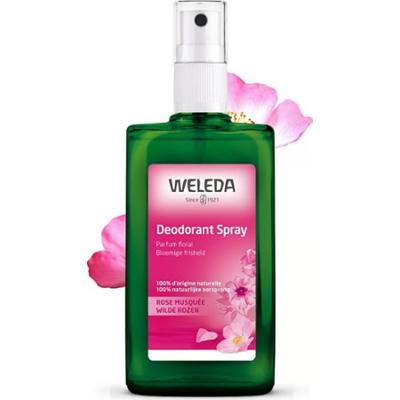 Weleda Dezodorant w sprayu z dziką różą 100ml