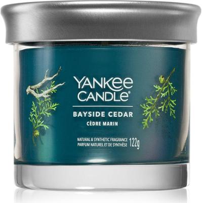 Świeca w szklance Yankee Candle Bayside Cedar Signature - 122,0g