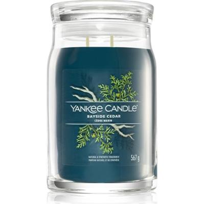 Cedr Yankee Candle z Bayside Signature świeca - 567g