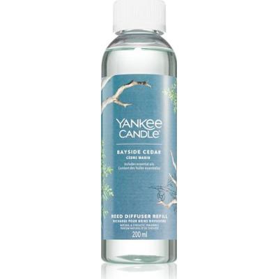 Uładowanie świec Yankee Distlan Signature Bayside Cedar Reed - Zapasowe ładowanie dla dyfuzora aromatów - 200 ml