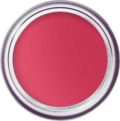 Bobbi Brown Pot Rouge Velvet Matte Guava Punsch 41