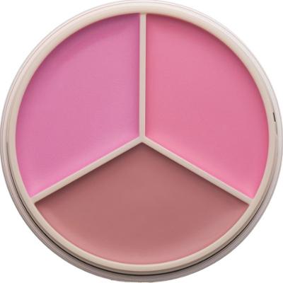 Anastasia Beverly Hills Magic Touch Blush Trio Pink (9 g)