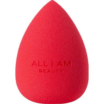 All I Am Blending Sponge