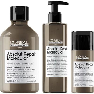 L'Oreal Professionnel Absolut Repair Molecular Haircare Trio