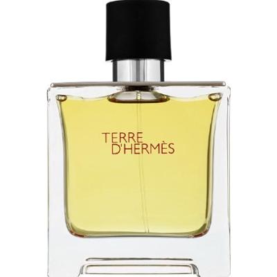 Hermes Terre d'Hermes Parfum Flacon