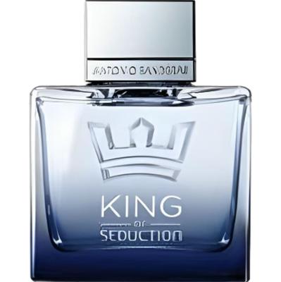 Antonio Banderas King of Seduction