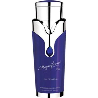 Armaf Magnificent Blue Pour Homme