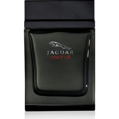 Jaguar Vision III