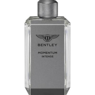 Bentley Momentum Intense