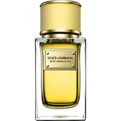 Dolce & Gabbana Velvet Mimosa Bloom