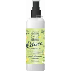 BARWA - BARWA NATURALNA - Nabłyszczająca, ekspresowa odżywka octowa w sprayu do włosów suchych i matowych - 200 ml