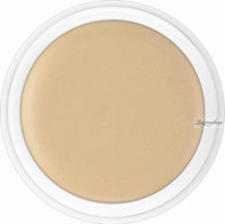 KRYOLAN - Dermacolor - CAMOUFLAGE CREME - Kamuflaż - ART. 75000 - D 2