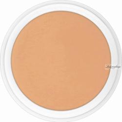 KRYOLAN - Dermacolor - CAMOUFLAGE CREME - Kamuflaż - ART. 75000 - D67