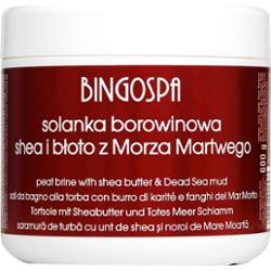 BingoSpa Sole Kąpielowe Solanka borowinowa z masłem Shea i błotem z Morza Martwego 550 g