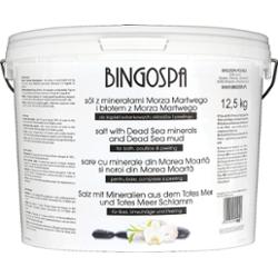 Sól z minerałami Morza Martwego z błotem z Morza Martwego 12,5 kg