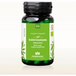 BIO Kanchanara Guggulu 60 kapsułek Cosmoveda Anty ama suplement diety