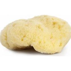 Organiczna gąbka z Morza Śródziemnego 9-10cm Najel