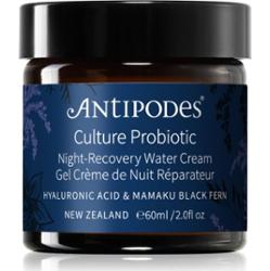 Antipodes Culture Probiotic Night Recovery Water Cream krem intensywnie rewitalizujący na noc z probiotykami 60 ml