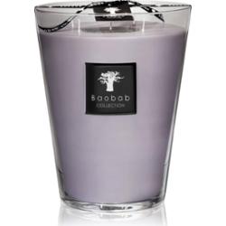 Baobab Collection All Seasons White Rhino świeczka zapachowa 3000 g