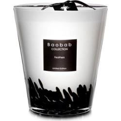 Baobab Collection Feathers świeczka zapachowa 1000 g