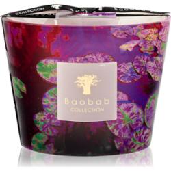 Baobab Collection Arty Flowers Water Lily świeczka zapachowa 500 g