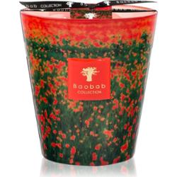 Baobab Collection Arty Flowers Poppies świeczka zapachowa 1000 g