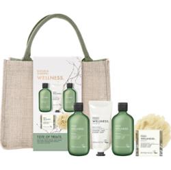 Baylis & Harding Wellness. Energise zestaw upominkowy torebka kosmetyczna Ginger, Lime & Basil Leaf