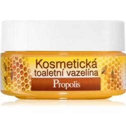 Bione Cosmetics Honey + Q10 wazelina kosmetyczna 155 ml