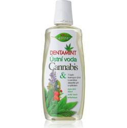 Bione Cosmetics Dentamint Cannabis płyn do płukania ust 500 ml